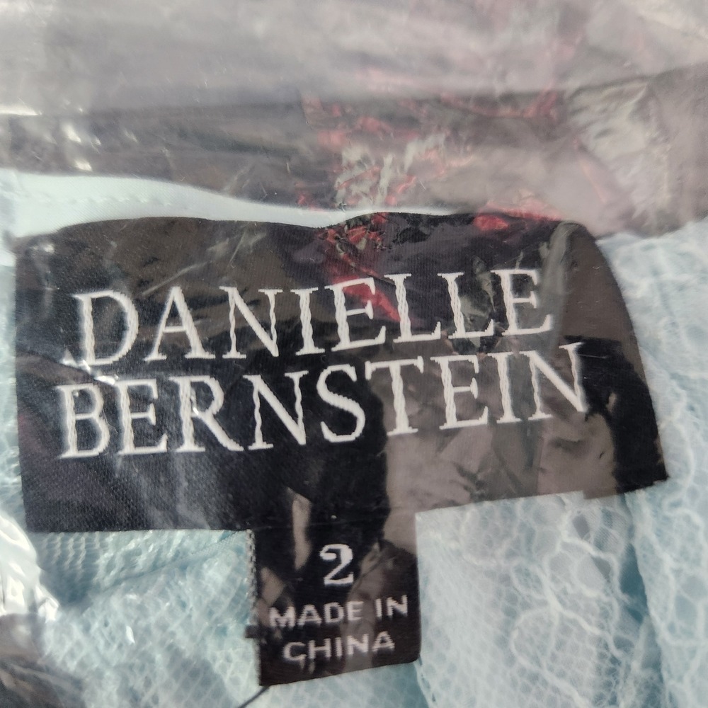 Danielle Bernstein Lace Bustier Thong Bodysuit 2 Delic Blue Mesh WeWoreWhat - Picture 4 of 5